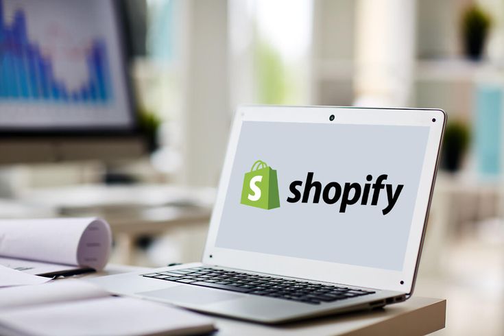 Shopify Certificate Course ( 45 Days )